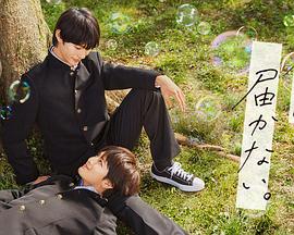 快排seo怎么推广